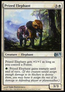 Prized Elephant (Preziöser Elefant)